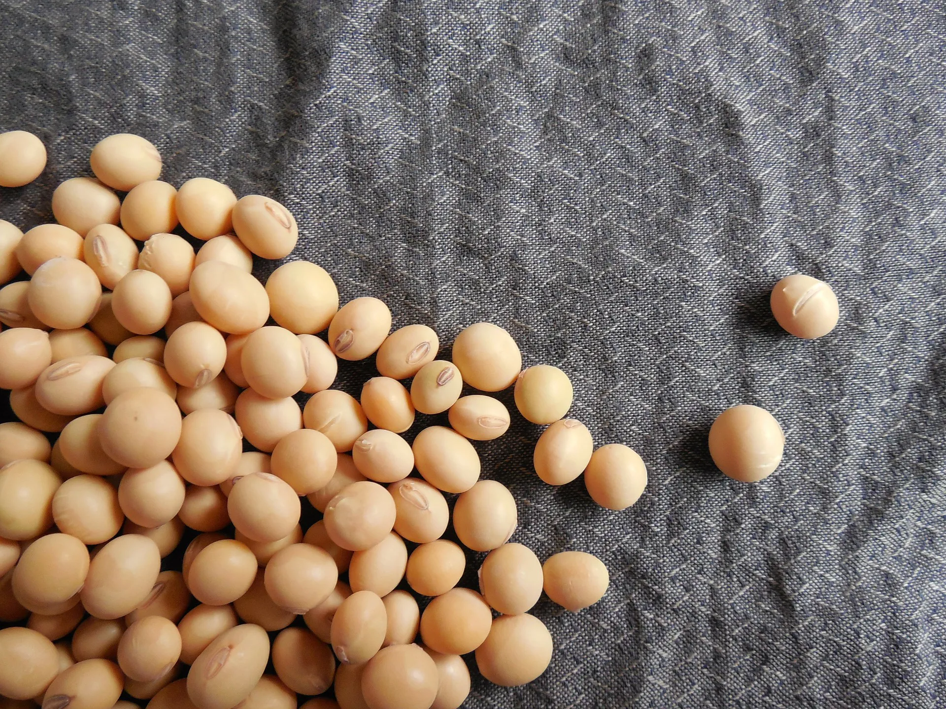 Isoflavones (IF) such as genistein are cancer preventive